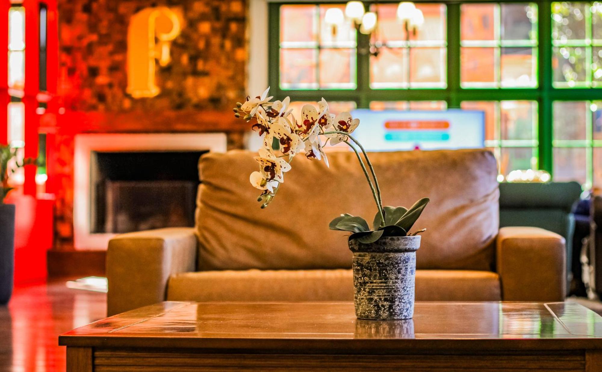 Hotel Fioreze Origem กรามาโด ภายนอก รูปภาพ